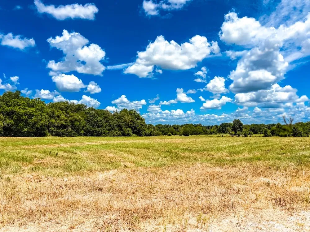County Road 520 Fairfield, TX 75840