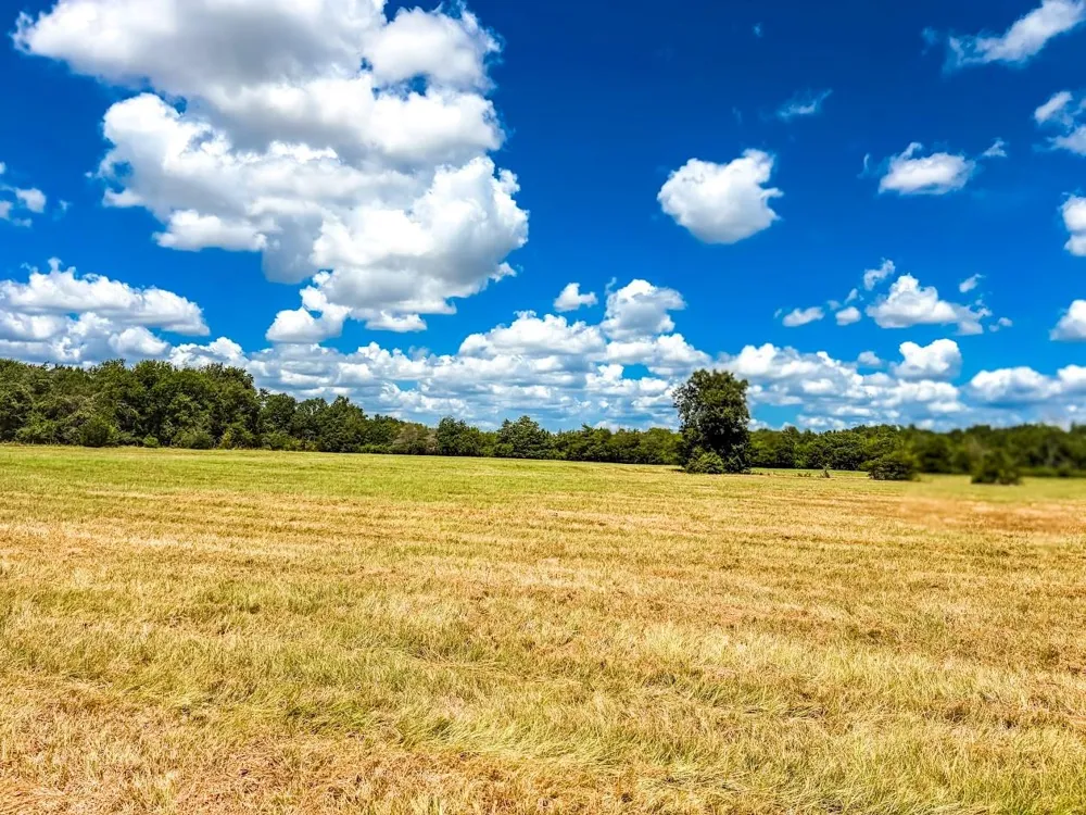 County Road 520 Fairfield, TX 75840