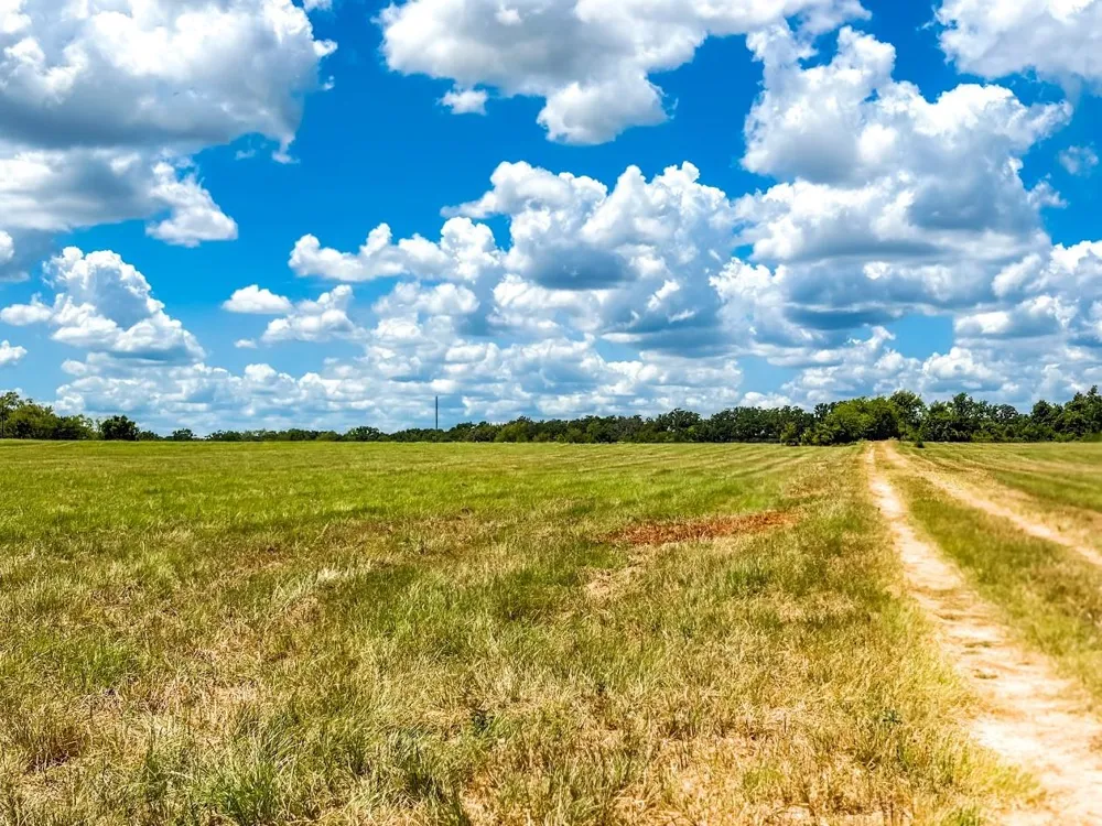 County Road 520 Fairfield, TX 75840