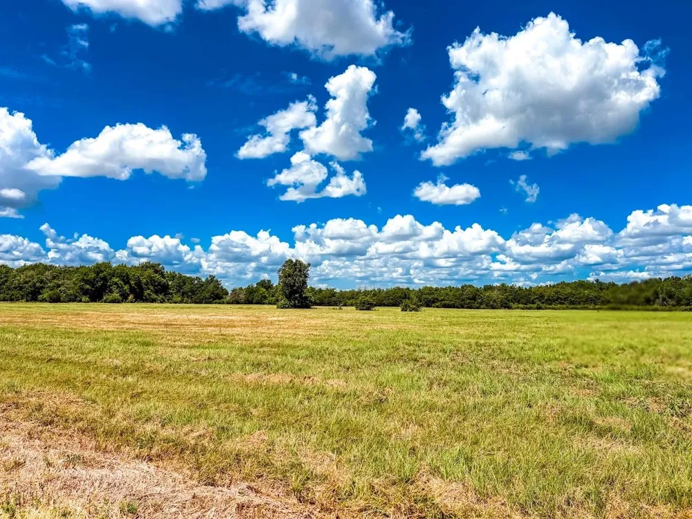 County Road 520 Fairfield, TX 75840