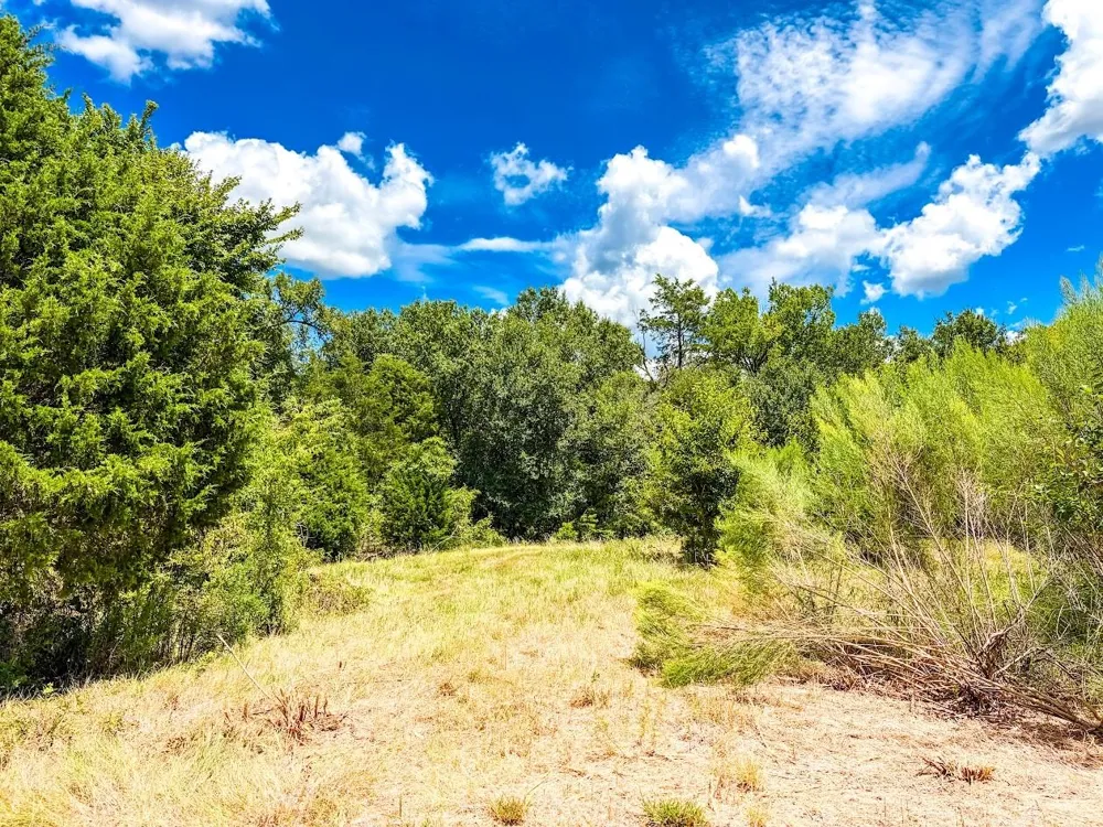 County Road 520 Fairfield, TX 75840