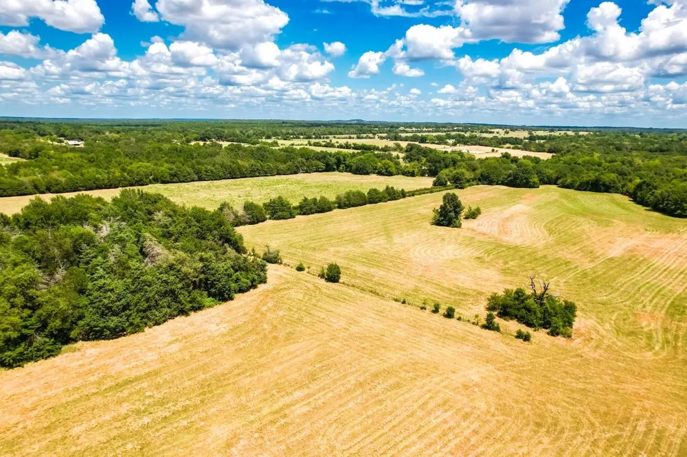 County Road 520 Fairfield, TX 75840