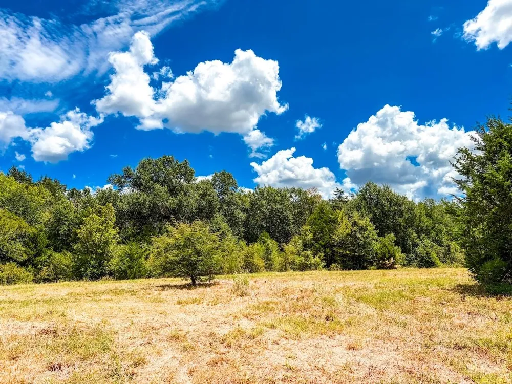 County Road 520 Fairfield, TX 75840