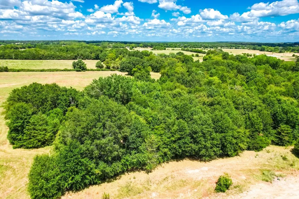 County Road 520 Fairfield, TX 75840