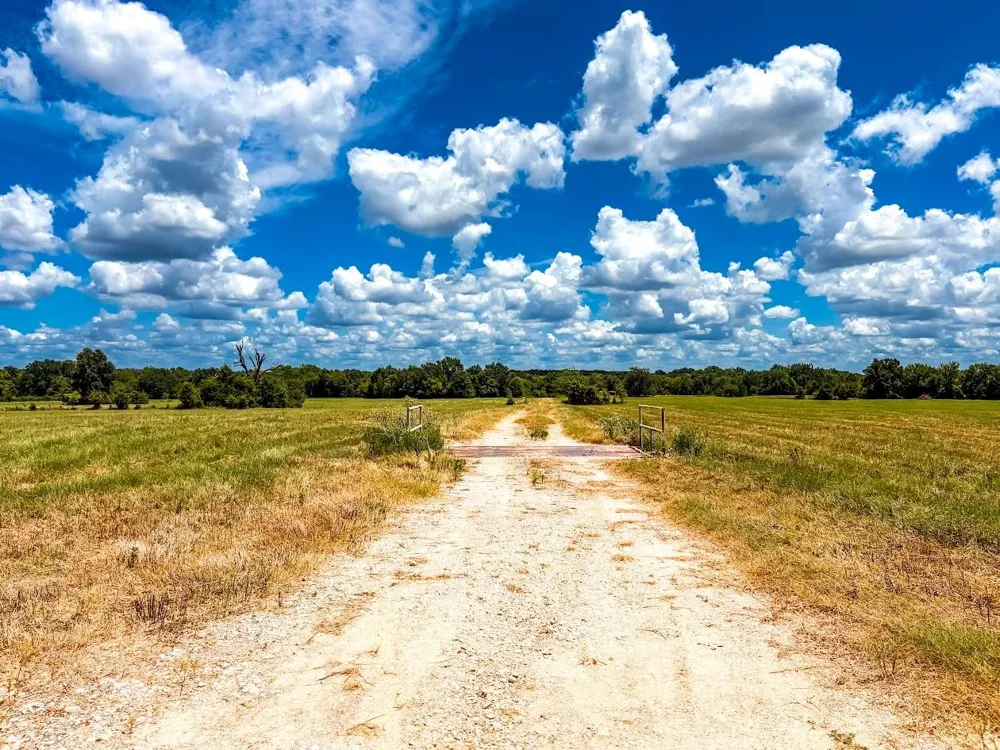 County Road 520 Fairfield, TX 75840