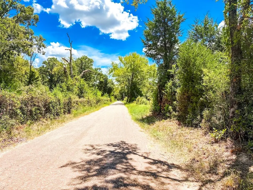 County Road 520 Fairfield, TX 75840