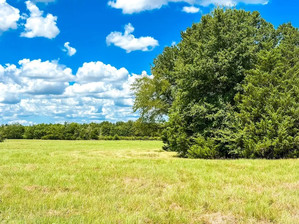 County Road 520 Fairfield, TX 75840