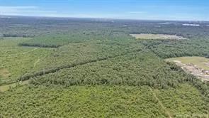 David Raines Road Shreveport, LA 71107