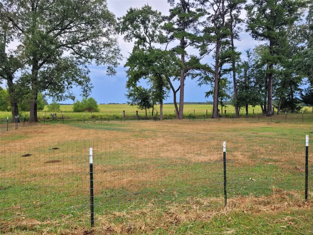 4948 CR 2131 Detroit, TX 75436