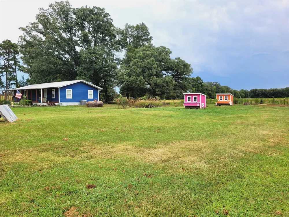 4948 CR 2131 Detroit, TX 75436