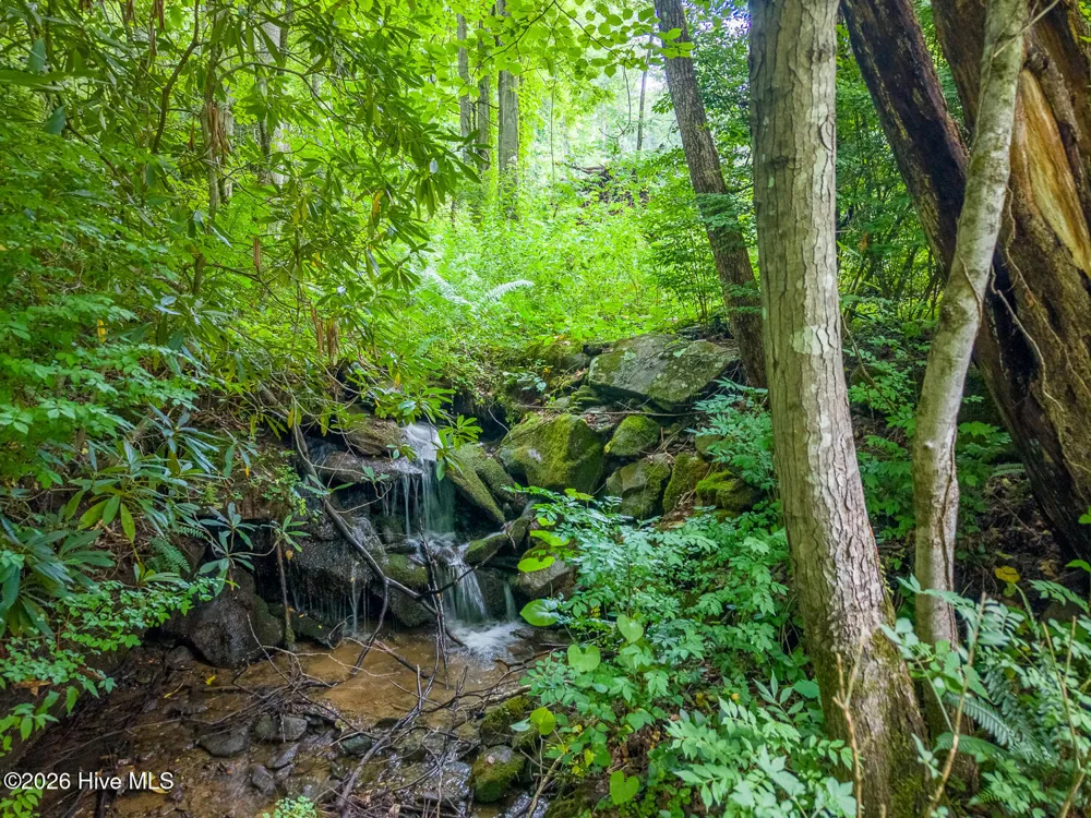 7261 Yellow Creek Road Robbinsville, NC 28771