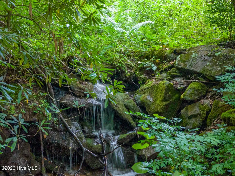 7261 Yellow Creek Road Robbinsville, NC 28771