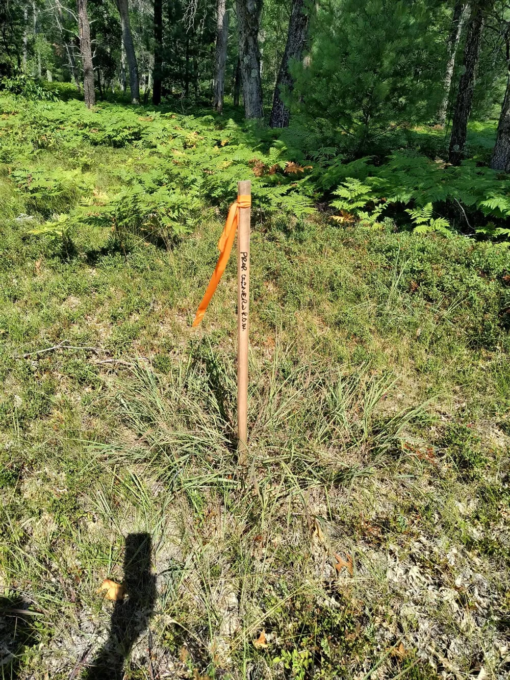 728 W 32nd Street #Parcel B Webber Township, MI 49304