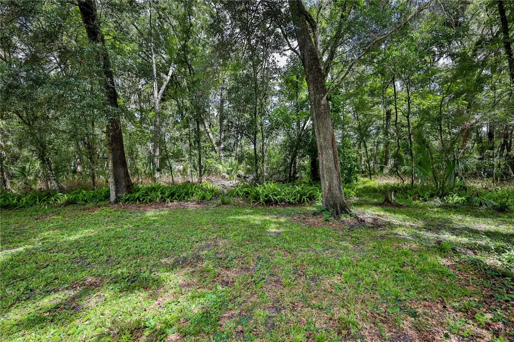 18255 LAKE LINDSEY ROAD Brooksville, FL 34601