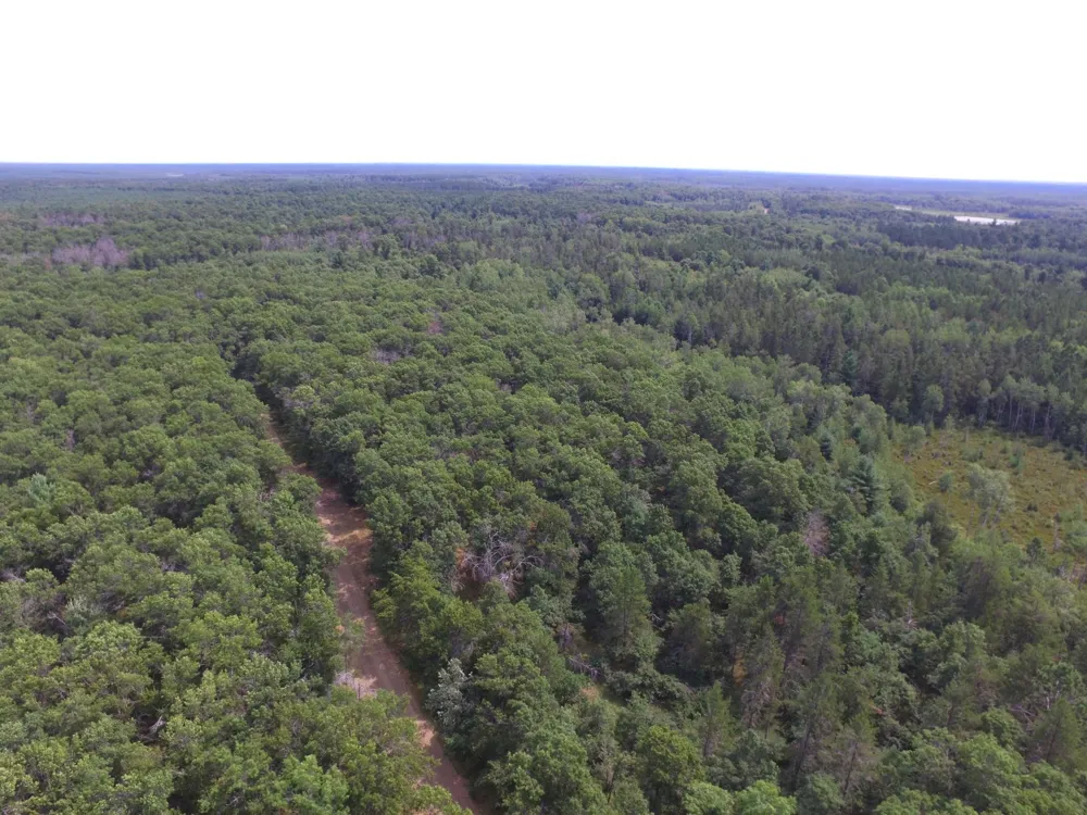 Lot 5 South Point Trail Danbury, WI 54830