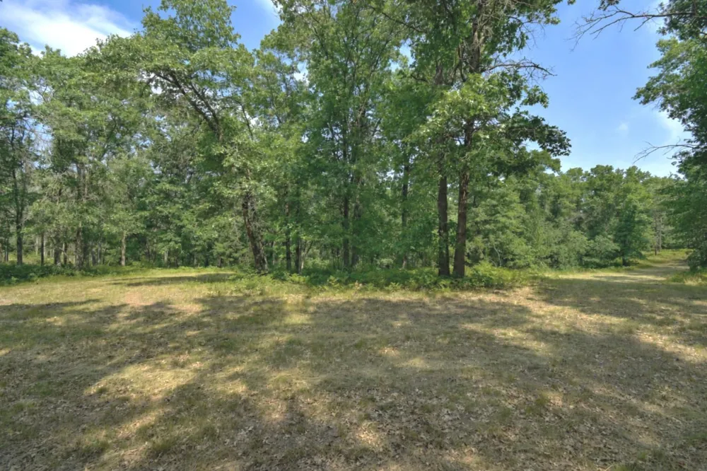 Lot 5 South Point Trail Danbury, WI 54830