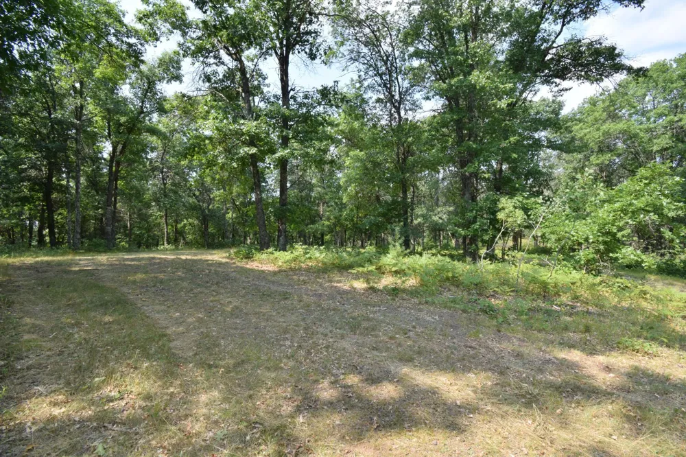 Lot 5 South Point Trail Danbury, WI 54830