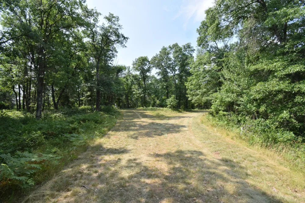 Lot 5 South Point Trail Danbury, WI 54830