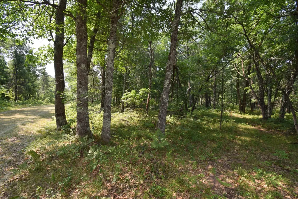 Lot 5 South Point Trail Danbury, WI 54830
