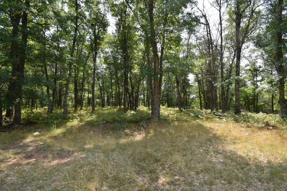 Lot 5 South Point Trail Danbury, WI 54830