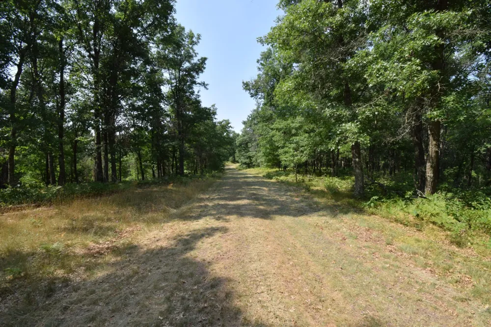 Lot 5 South Point Trail Danbury, WI 54830