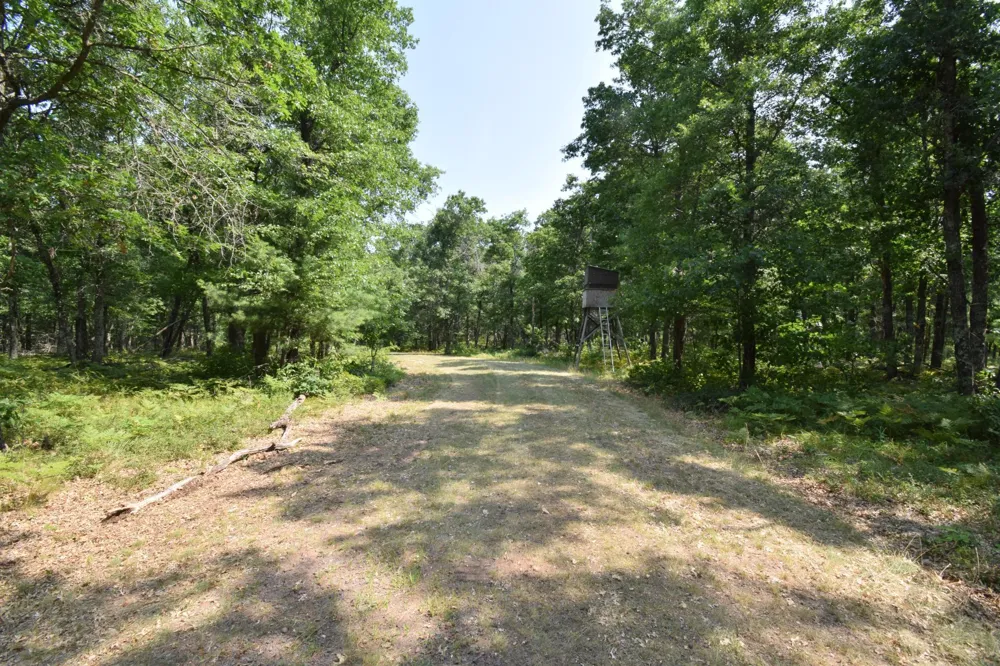 Lot 5 South Point Trail Danbury, WI 54830