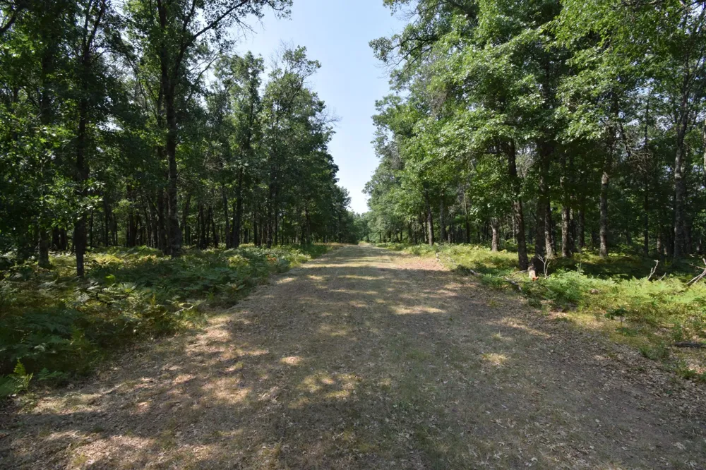 Lot 5 South Point Trail Danbury, WI 54830