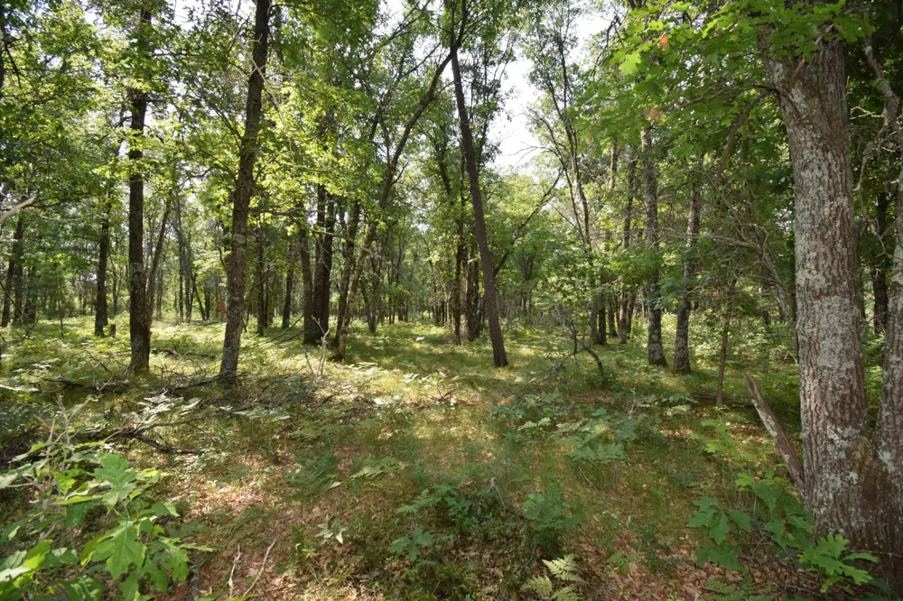 Lot 5 South Point Trail Danbury, WI 54830