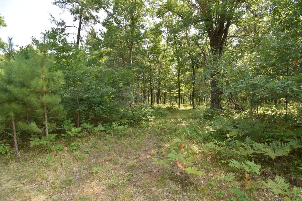 Lot 5 South Point Trail Danbury, WI 54830