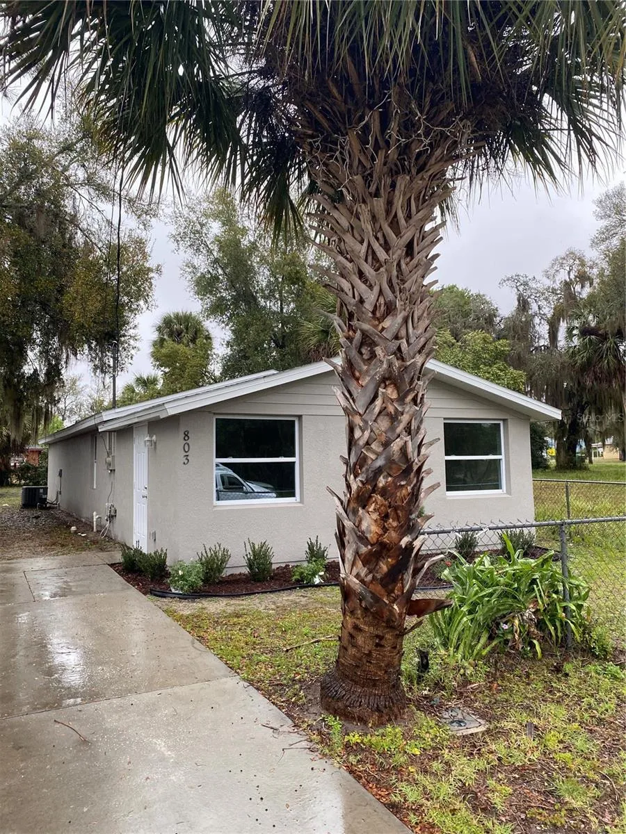 803 E HAZZARD AVENUE Eustis, FL 32726