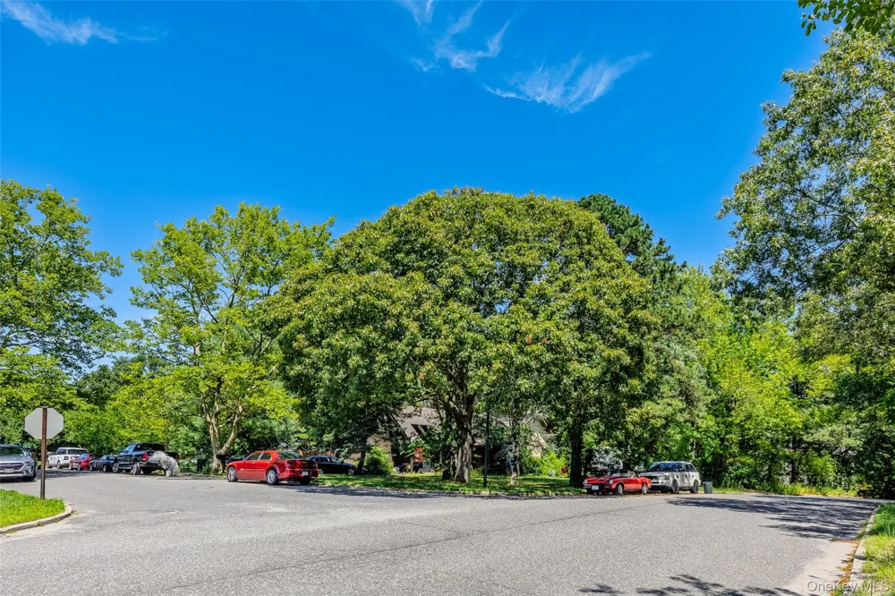 3 Gaton Lane Coram, NY 11727