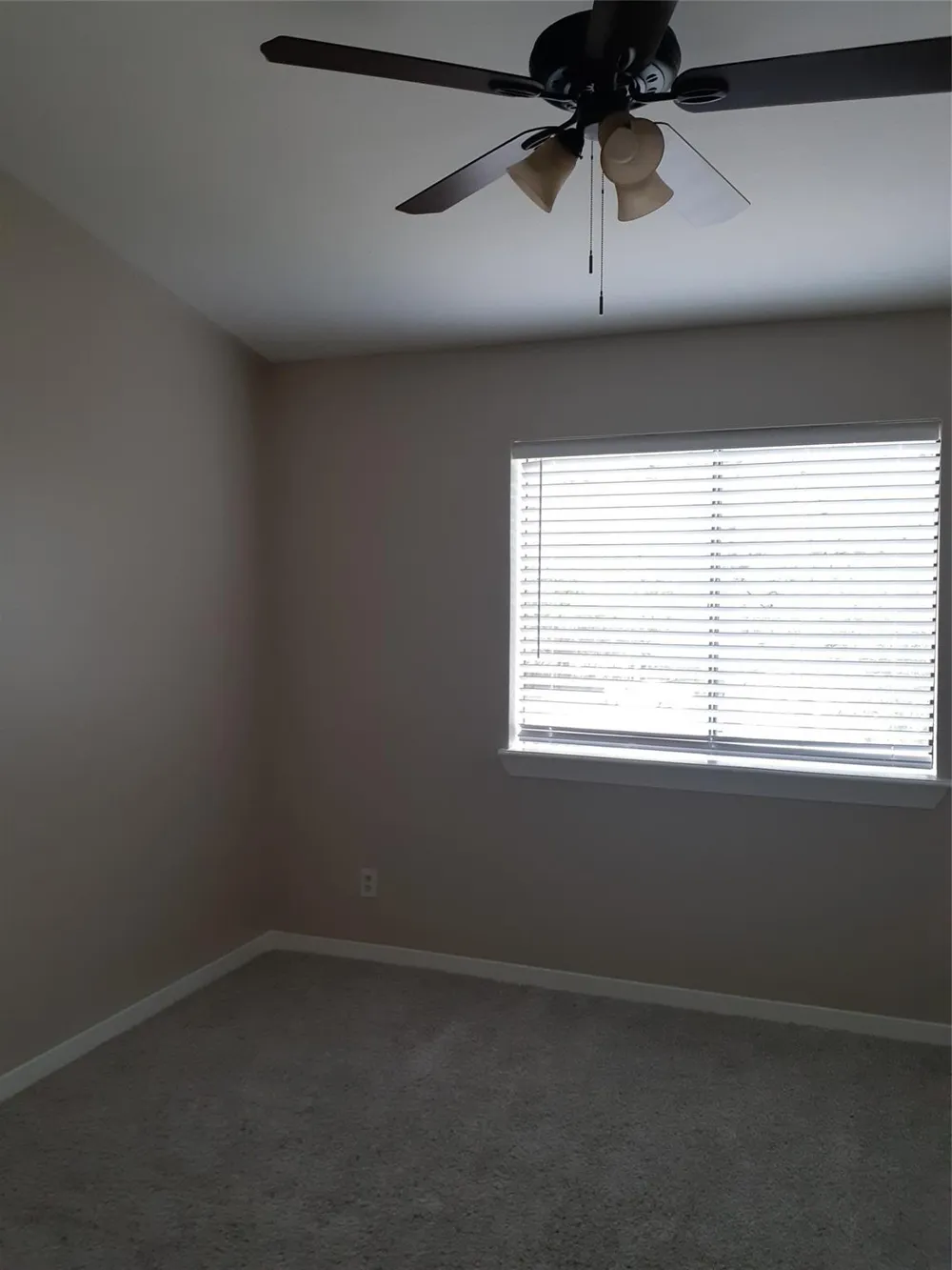 3500 Tangle Brush Drive #24 The Woodlands, TX 77381