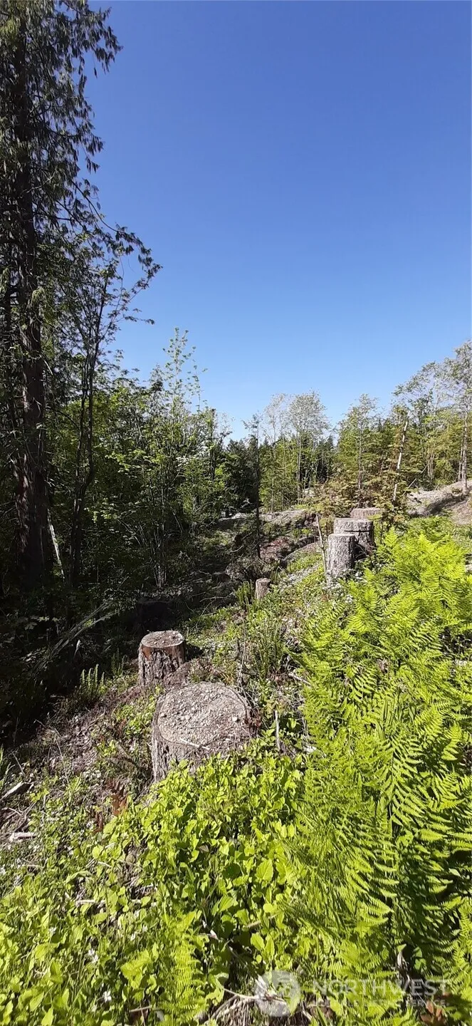 101 NE WJ WAY Belfair, WA 98528