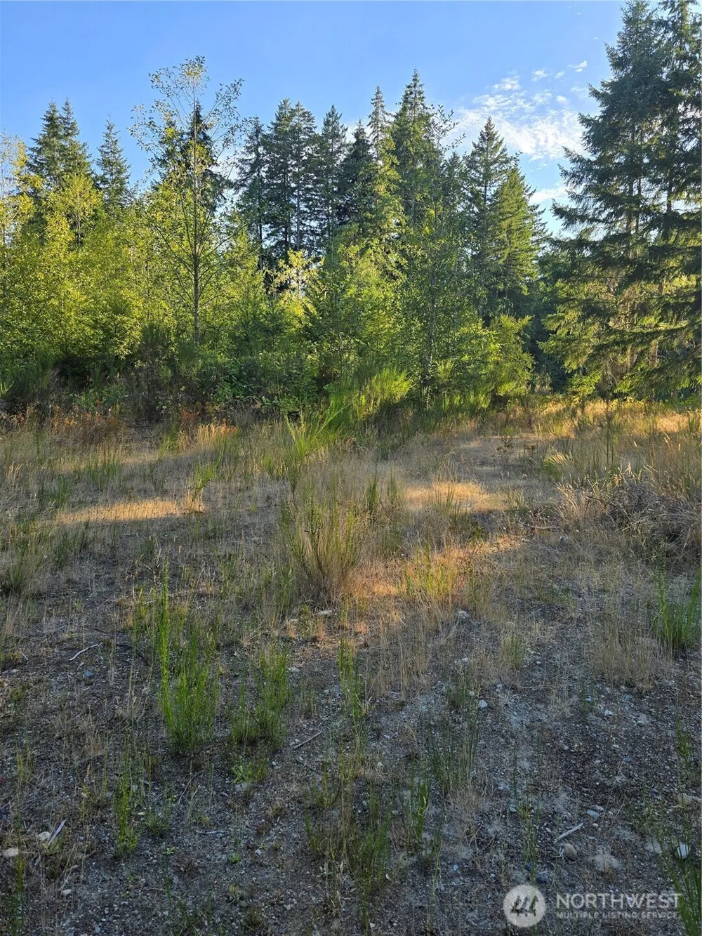 14506 106th Street Ct NW Gig Harbor, WA 98329