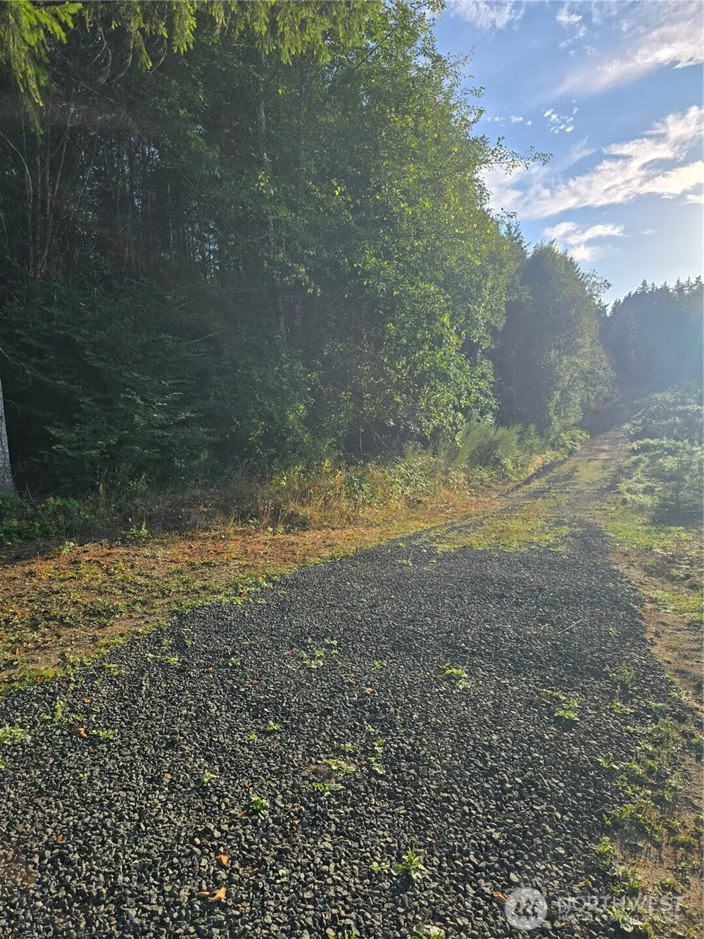 14506 106th Street Ct NW Gig Harbor, WA 98329