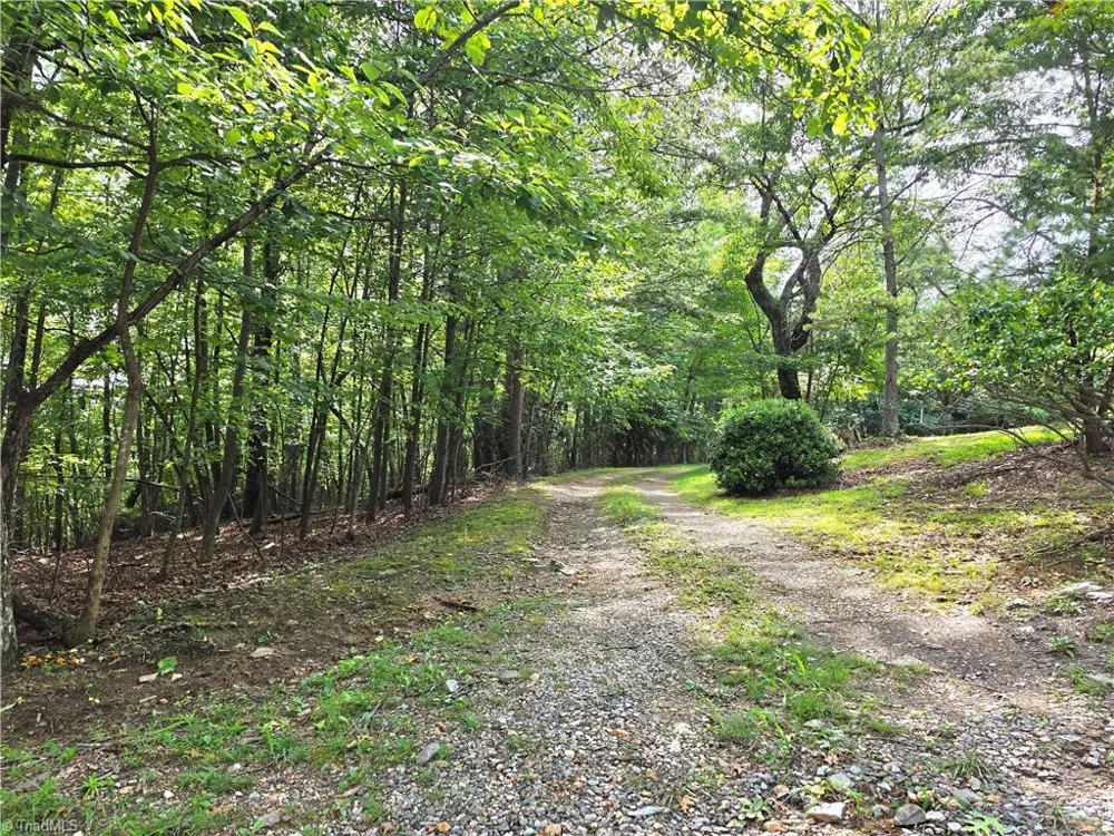 179 Caseys Crossing Trail Lowgap, NC 27024