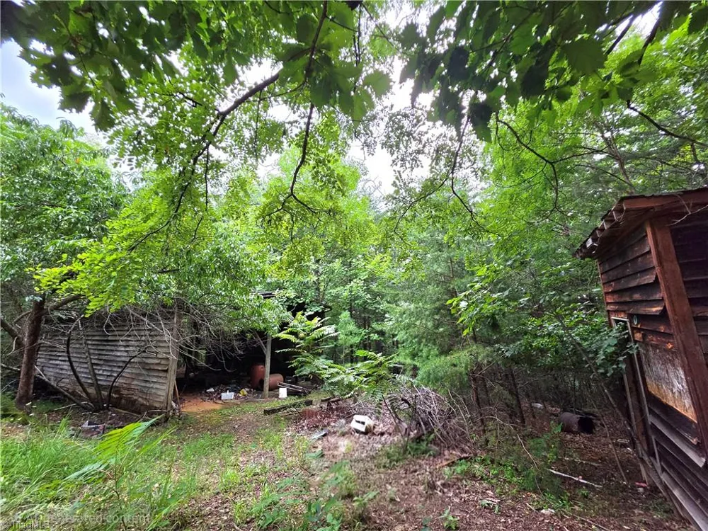 179 Caseys Crossing Trail Lowgap, NC 27024