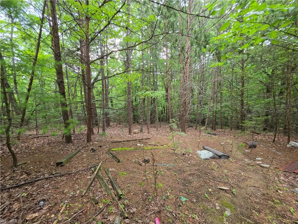 179 Caseys Crossing Trail Lowgap, NC 27024