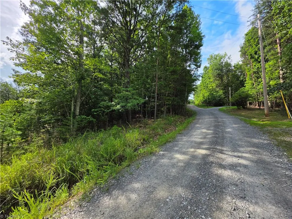 179 Caseys Crossing Trail Lowgap, NC 27024