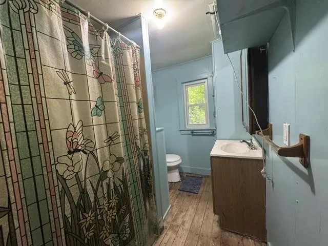 1169 S Lachance Road Lake Township, MI 49651