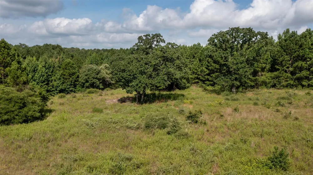 Vineyard View Trail Grapeland, TX 75844