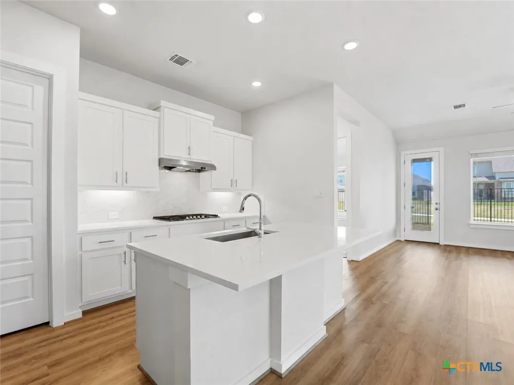 4319 Port Hope Street Round Rock, TX 78665