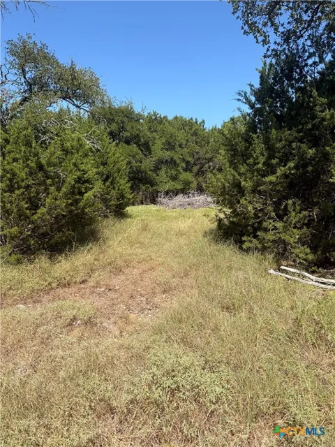 Mojave Lane