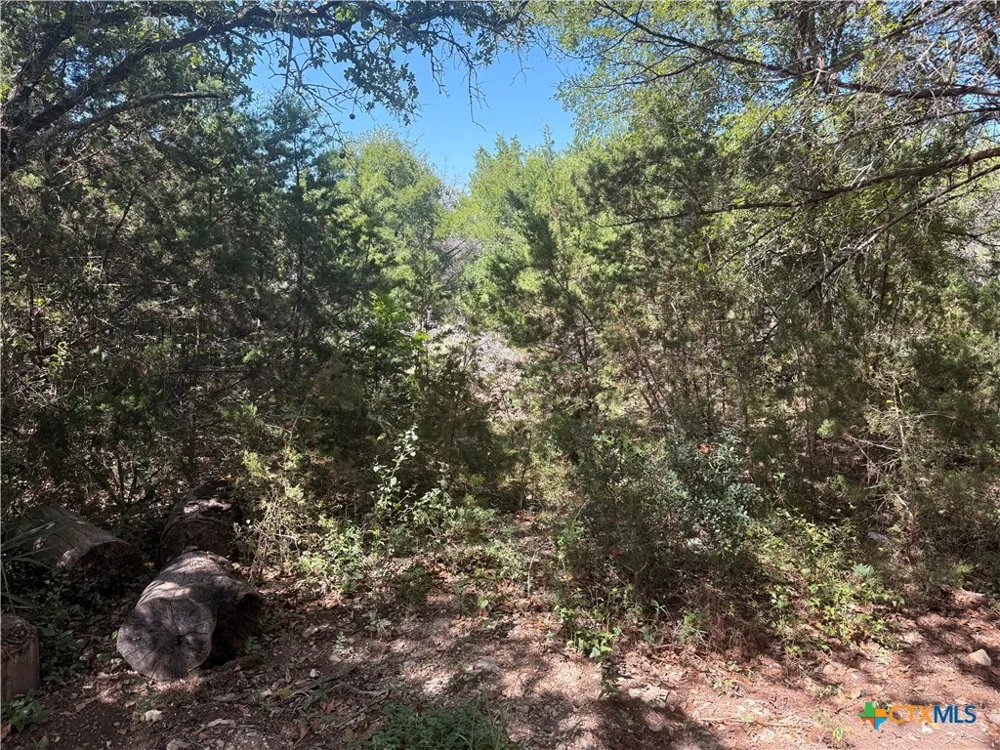Mojave Lane Morgans Point Resort, TX 76513