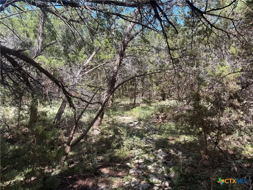 Mojave Lane Morgans Point Resort, TX 76513