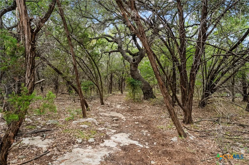 Mojave Lane Morgans Point Resort, TX 76513