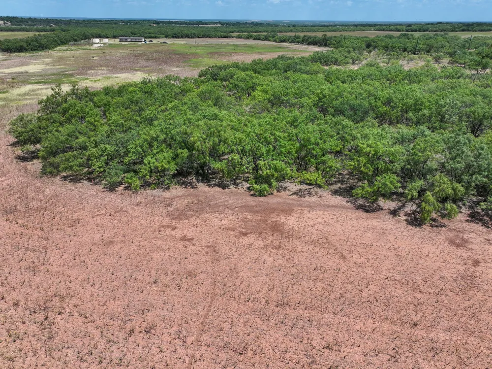 PR 3561 Anson, TX 79501