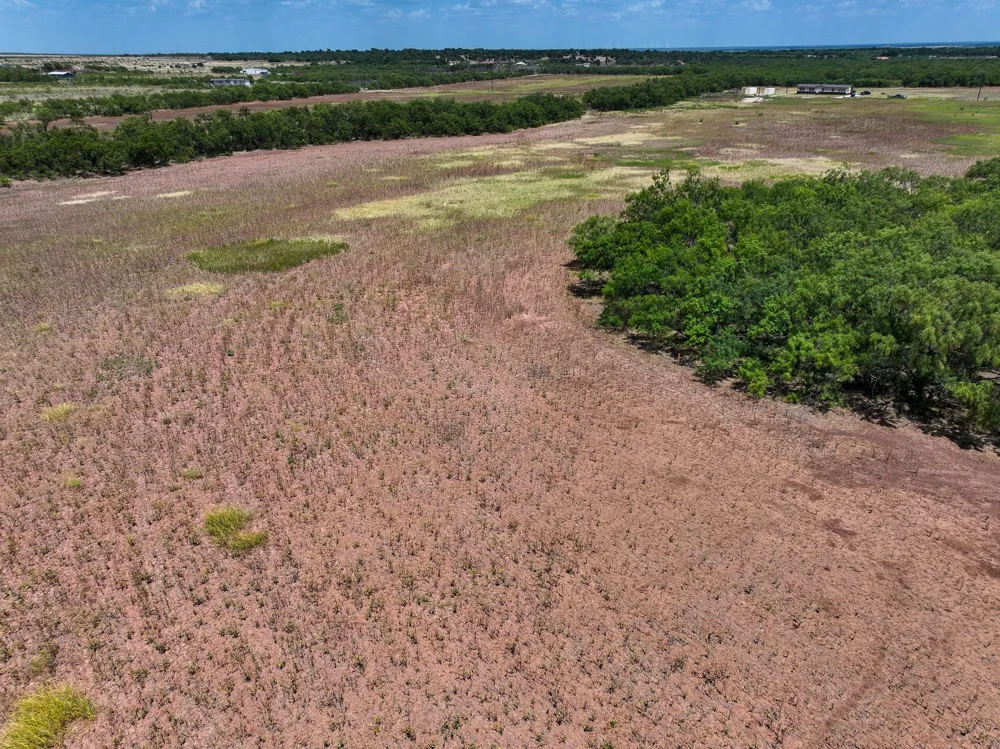 PR 3561 Anson, TX 79501