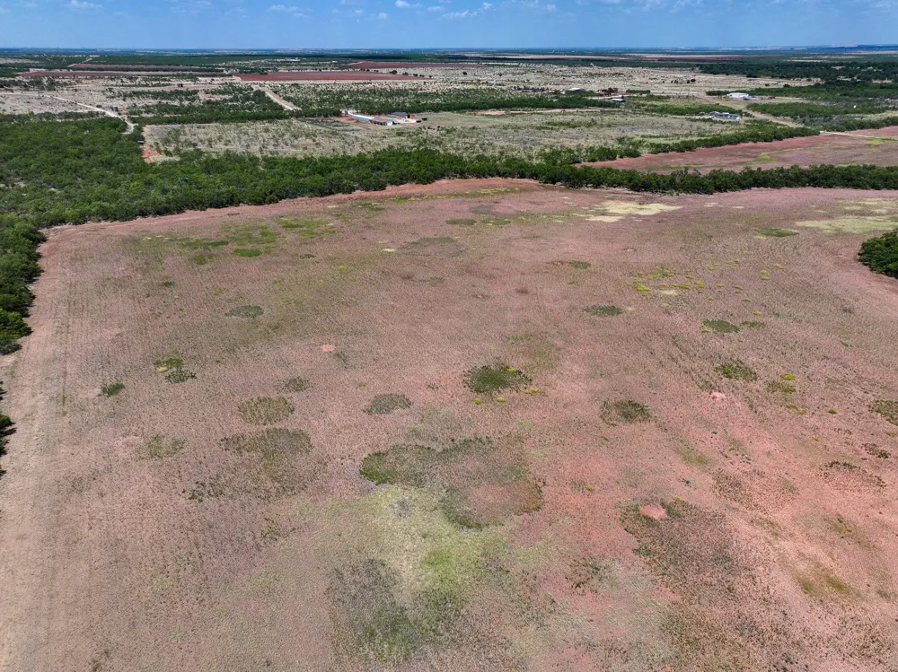 PR 3561 Anson, TX 79501