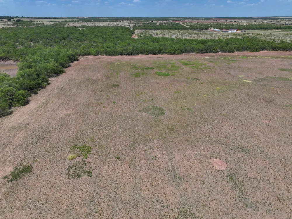 PR 3561 Anson, TX 79501